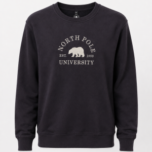north pole 1